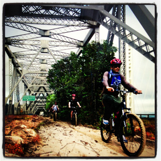 Illustration for article titled Transforming the Old Bay Bridge Into a Park for Adventure Tourists